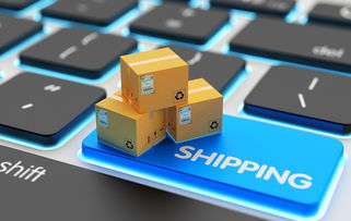 网络人远程控制软件 功能、风险与合规使用指南